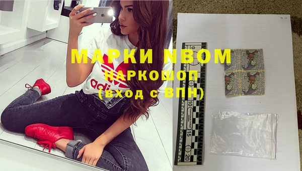 ПСИЛОЦИБИНОВЫЕ ГРИБЫ Корсаков