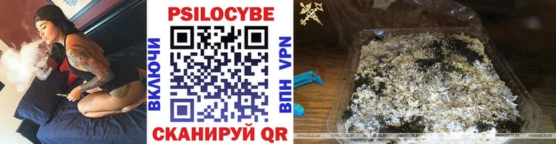 Галлюциногенные грибы Psilocybine cubensis  Купить  Нефтекумск 